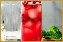 Cranberry Mojito
