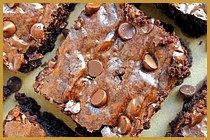 Choco Chip Brownie